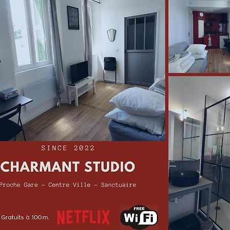 Charmant Studio Proche Centre Ville Et Gare Лурд Экстерьер фото