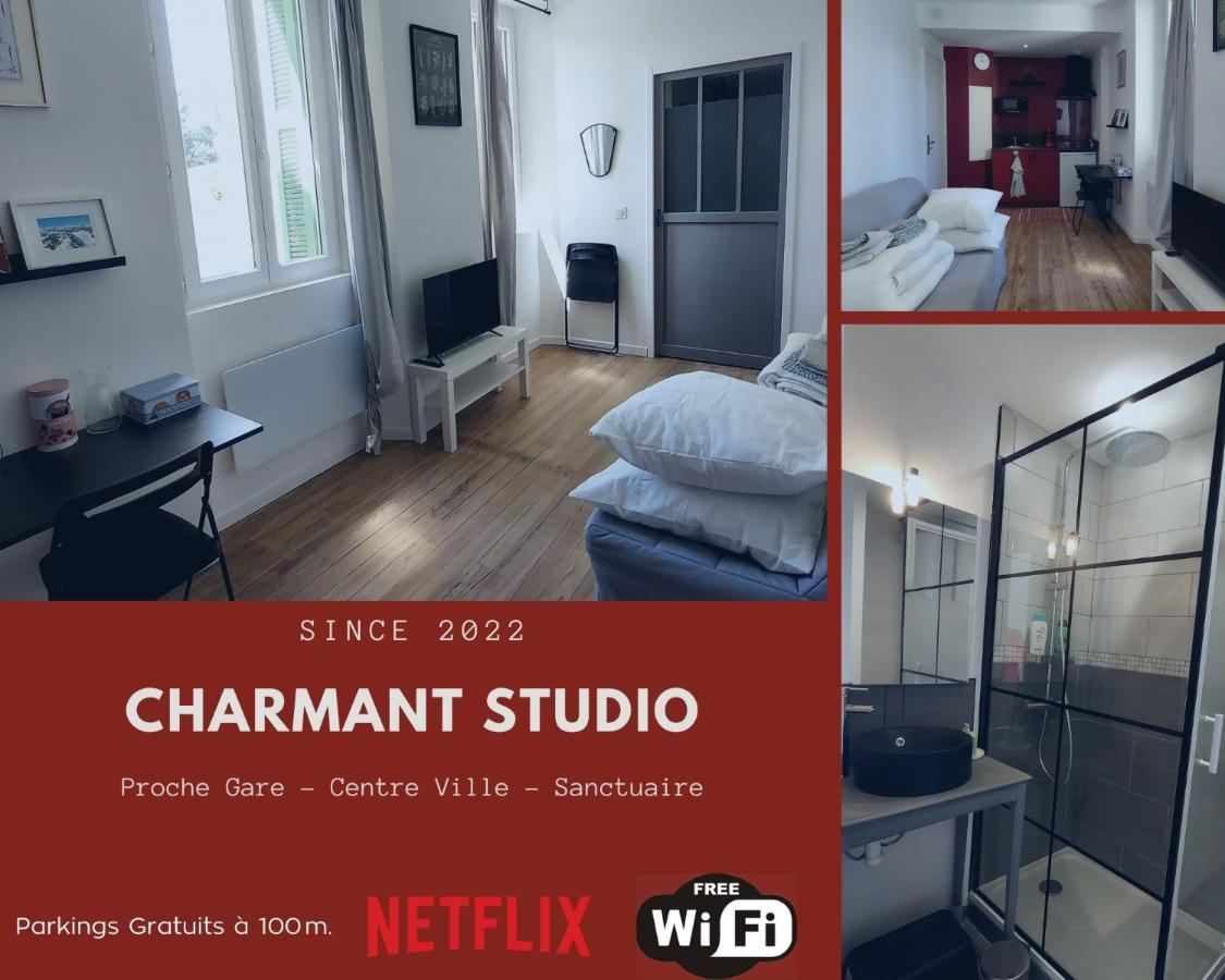 Charmant Studio Proche Centre Ville Et Gare Лурд Экстерьер фото